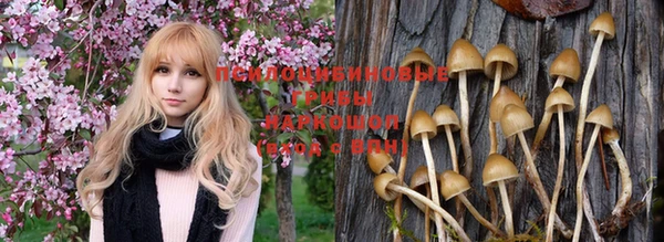 jwh Нефтегорск