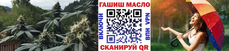 блэк спрут как войти  купить наркоту  Межгорье  Дистиллят ТГК THC oil 