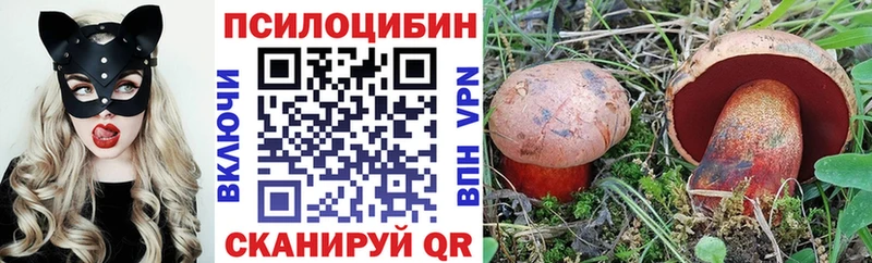 Галлюциногенные грибы ЛСД закладки дарк нет как зайти Межгорье OMG tor